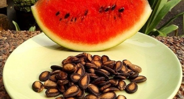 Výhody a poškození semen melounu a je možné je jíst, používat v medicíně a kosmetologii